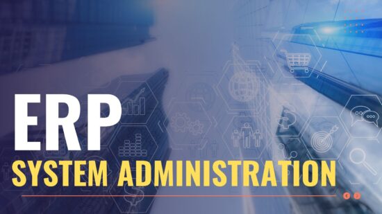 Mastering ERP System Administration